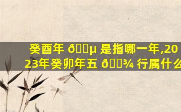 癸酉年 🌵 是指哪一年,2023年癸卯年五 🌾 行属什么